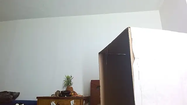 Party trans online show from 12/14/24, 10:39