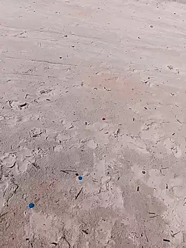 1010SumiT online show from 11/01/25, 05:14