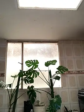 Miss oliviaa online show from 11/11/25, 01:06