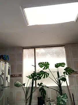 Miss oliviaa online show from 11/26/25, 05:13