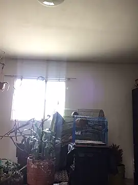 Miss oliviaa online show from 10/22/25, 02:05