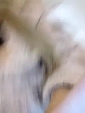 Snapshot of fofinhaa12 chatting on 02/10/26, 01:15 fofinhaa12 online show from 02/10/26, 01:15