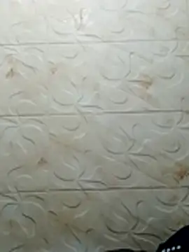 luchoarr online show from 11/02/25, 03:33