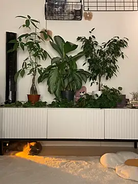 SweetCandyy online show from 07/12/26, 07:58