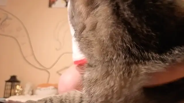 such juicee online show from 04/05/26, 07:20