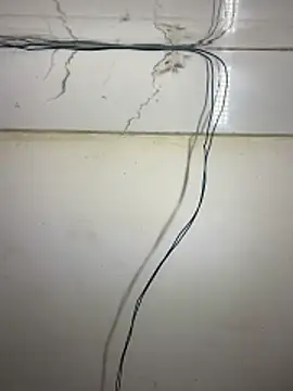 cute panda03 online show from 02/12/26, 07:35