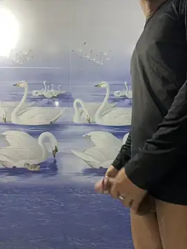 cute panda03 online show from 01/17/25, 12:10