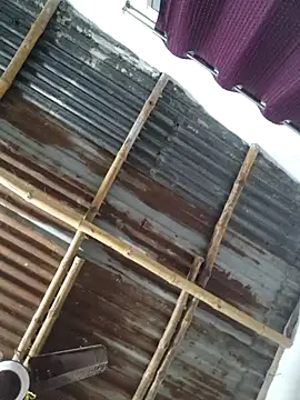 royaldoll-143 online show from 12/26/24, 03:42