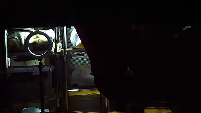 qoooqing67 online show from 12/15/24, 06:18