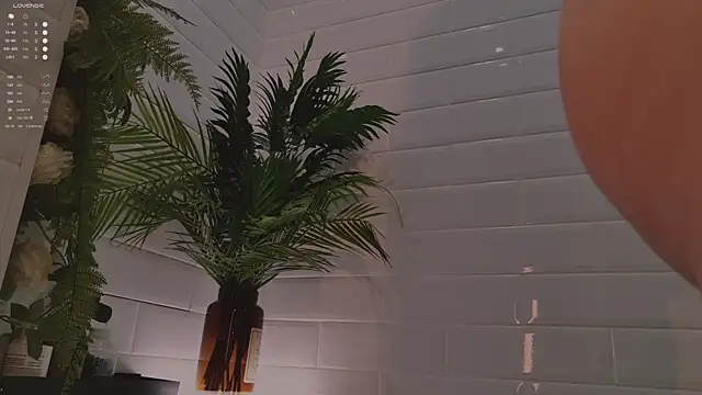 MichaellaMoon online show from 12/03/25, 02:16