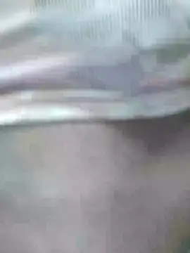 ShelfyOfferer online show from 04/28/26, 06:56