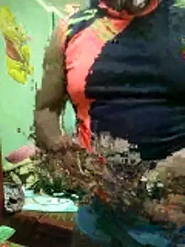 Snapshot of ShelfyOfferer chatting on 01/31/26, 11:14 ShelfyOfferer online show from 01/31/26, 11:14