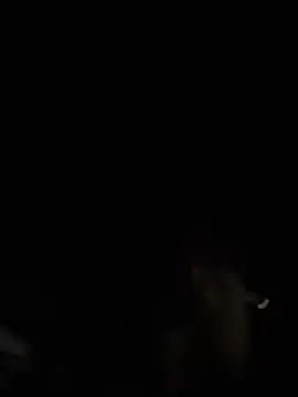 tipico0799 online show from 03/02/25, 01:37