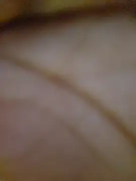 Drippincaty online show from 03/06/26, 04:35