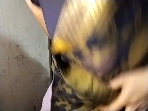 Mumbaistar online show from 03/06/26, 05:35