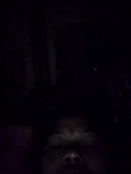 Bangarupapa online show from 02/26/26, 12:32