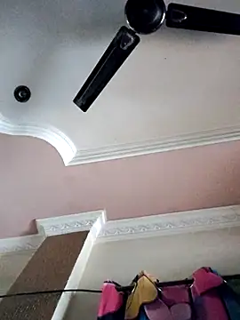 Bangarupapa online show from 10/26/25, 08:04