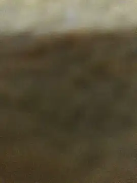 Bigdick pedro online show from 09/09/25, 01:49