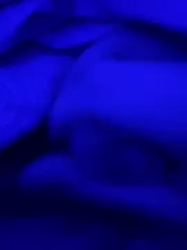 feuerfick online show from 01/28/25, 05:43