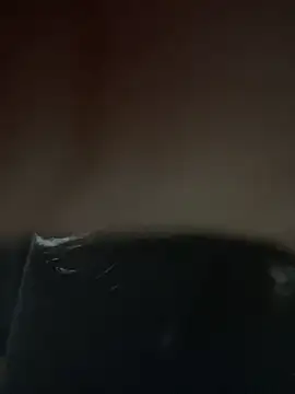 aylanaa online show from 04/09/26, 04:03