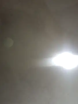  violetta - online show from 11/05/25, 08:23