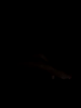 Snapshot of PEACHY439 chatting on 11/13/25, 05:11 PEACHY439 online show from 11/13/25, 05:11