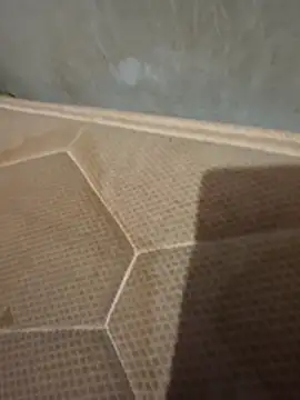 Chneor28 online show from 02/11/26, 10:53