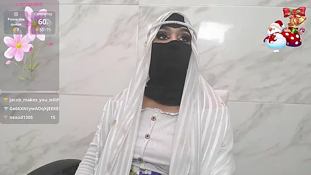 Snapshot of shaila_anali chatting on 01/02/25, 02:46 shaila anali online show from 01/02/25, 02:46