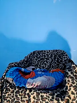 Snapshot of charlesss19 chatting on 03/20/25, 07:14 charlesss19 online show from 03/20/25, 07:14