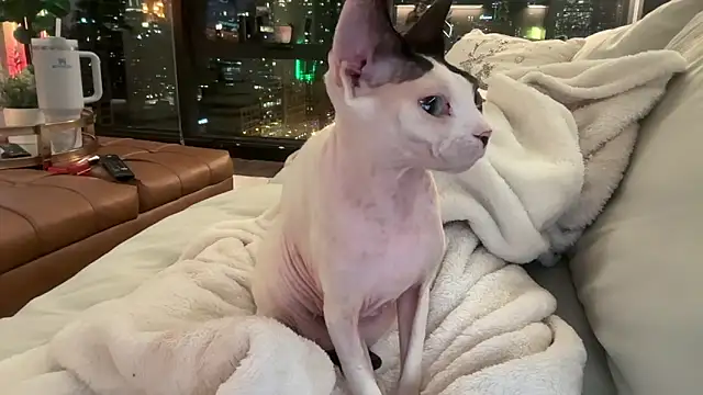 Graciemae baexx online show from 12/23/25, 03:50