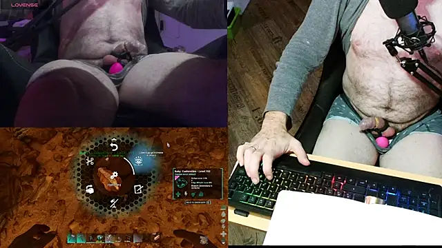 Crosss-23cm online show from 01/17/25, 08:11