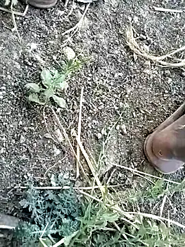 jellydicks online show from 02/08/26, 10:57