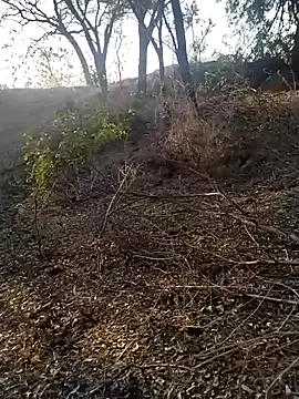 jellydicks online show from 02/21/26, 02:02