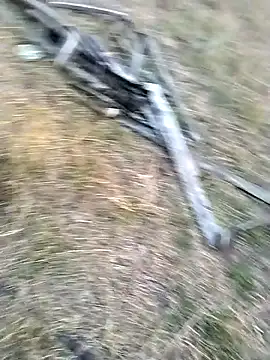 jellydicks online show from 03/29/26, 12:51