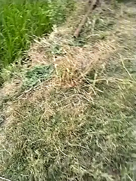 jellydicks online show from 02/28/26, 11:54