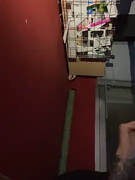 Snapshot of chavito2223 chatting on 02/10/26, 04:11 chavito2223 online show from 02/10/26, 04:11