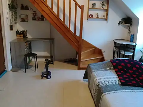 Lauzo21 online show from 02/26/26, 06:35