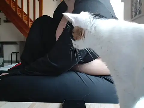 Lauzo21 online show from 03/19/26, 06:35