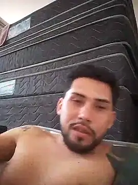 novinhobelem29 online show from 11/08/25, 11:47