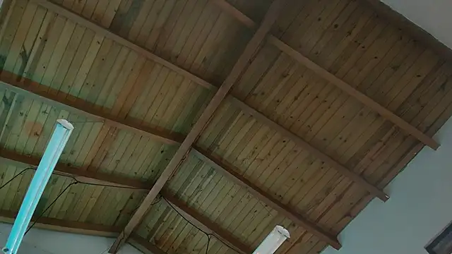 Venusflame   online show from 11/29/25, 12:05