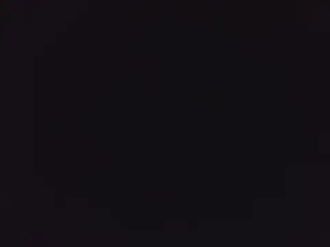 tripexnte online show from 03/08/25, 09:29