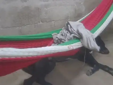 tripexnte online show from 02/16/25, 11:28