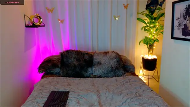 Kaaiiri online show from 03/17/26, 10:29