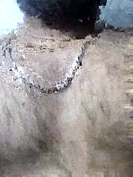 Snapshot of sinsbbi9 chatting on 11/13/25, 11:14 sinsbbi9 online show from 11/13/25, 11:14