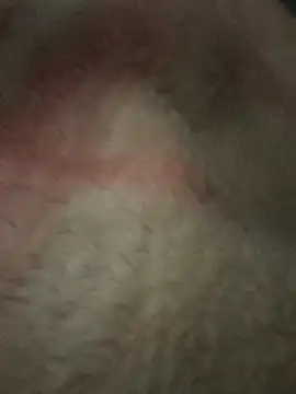 Juliano69xv online show from 12/19/25, 02:19