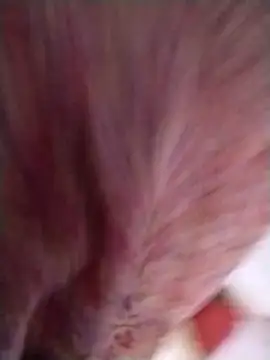 Pushpavathi 78 online show from 04/13/26, 12:31