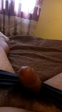 pedritolobito online show from 01/31/25, 01:45