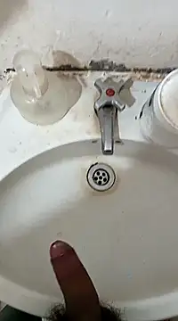 pedritolobito online show from 02/27/25, 11:50