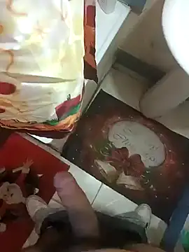 pedritolobito online show from 12/26/24, 04:25