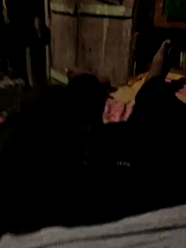 Snapshot of GapingConker chatting on 10/31/25, 11:40 GapingConker online show from 10/31/25, 11:40